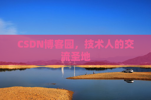 CSDN博客园，技术人的交流圣地